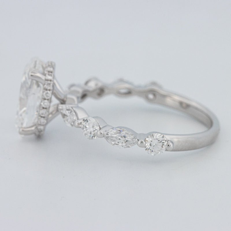 2 CT Oval Cut Under - Halo Pavé Solitaire (LG) - ZIZOV DIAMONDS