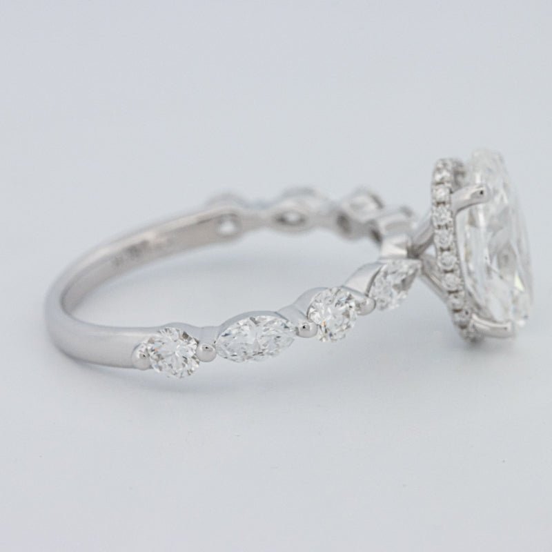 2 CT Oval Cut Under - Halo Pavé Solitaire (LG) - ZIZOV DIAMONDS
