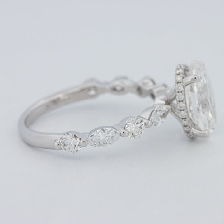 2 CT Oval Cut Under - Halo Pavé Solitaire (LG) - ZIZOV DIAMONDS