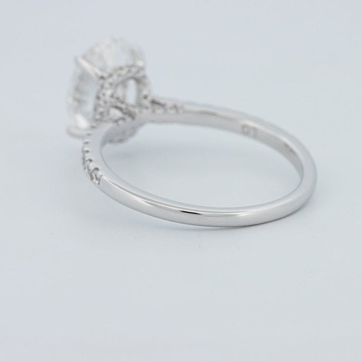 2 CT Oval Cut Under - Halo Pavé Solitaire (LG) - ZIZOV DIAMONDS