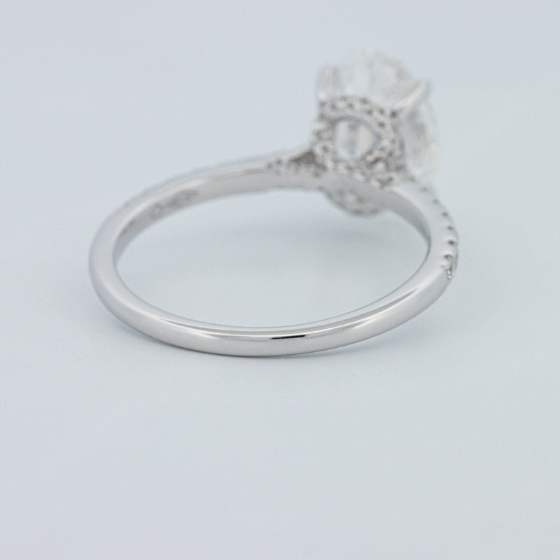 2 CT Oval Cut Under - Halo Pavé Solitaire (LG) - ZIZOV DIAMONDS