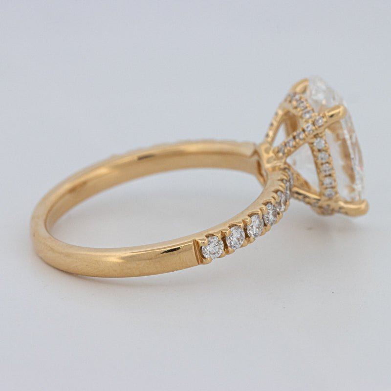 3 CT "Basket" Oval Cut Under - Halo Pavé Ring (LG) - ZIZOV DIAMONDS