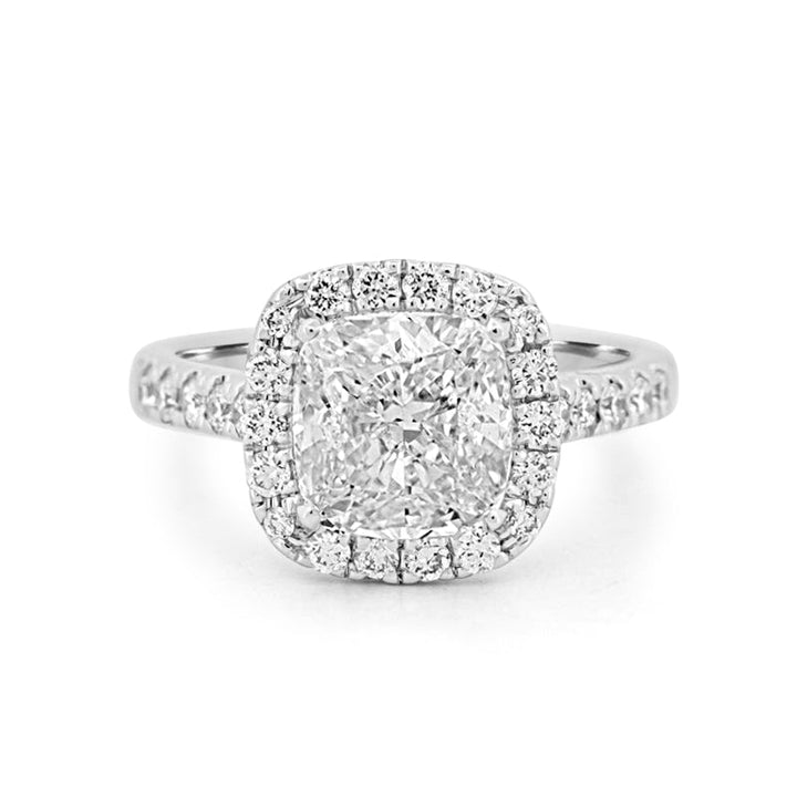 3 CT Cushion Cut Halo Pavé Solitaire (LG) - ZIZOV DIAMONDS