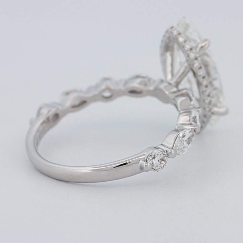 3 CT Marquise Cut Under - Halo Pavé Solitaire (LG) - ZIZOV DIAMONDS
