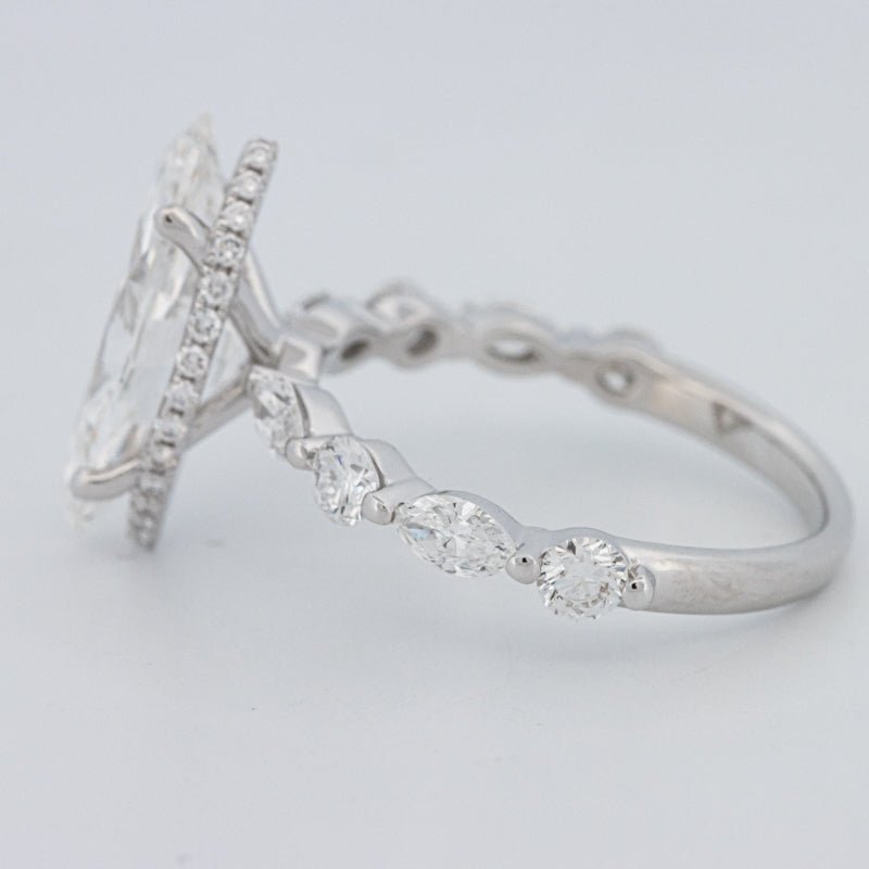 3 CT Marquise Cut Under - Halo Pavé Solitaire (LG) - ZIZOV DIAMONDS