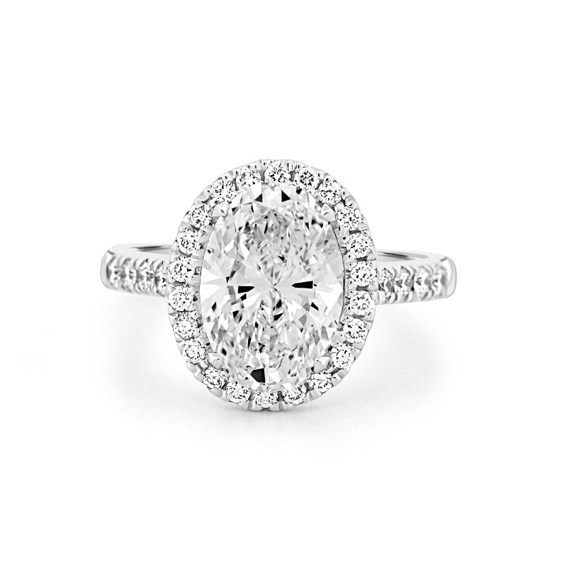 3 CT Oval Cut Halo Pavé Solitaire (LG) - ZIZOV DIAMONDS