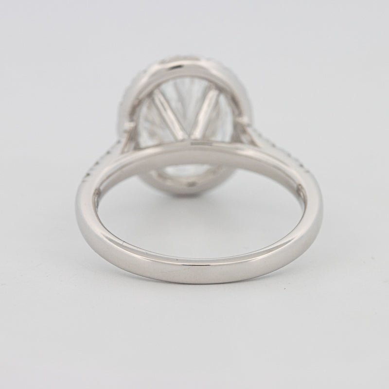 3 CT Oval Cut Halo Pavé Solitaire (LG) - ZIZOV DIAMONDS