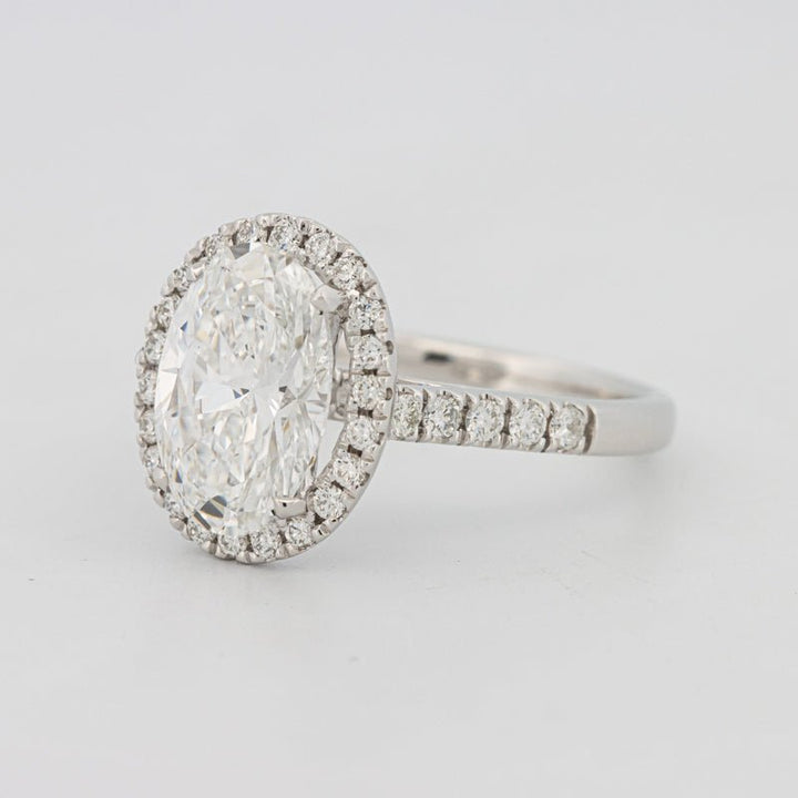 3 CT Oval Cut Halo Pavé Solitaire (LG) - ZIZOV DIAMONDS