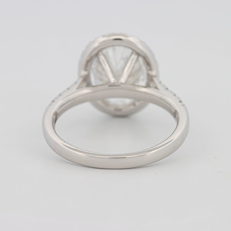 3 CT Oval Cut Halo Pavé Solitaire (LG) - ZIZOV DIAMONDS