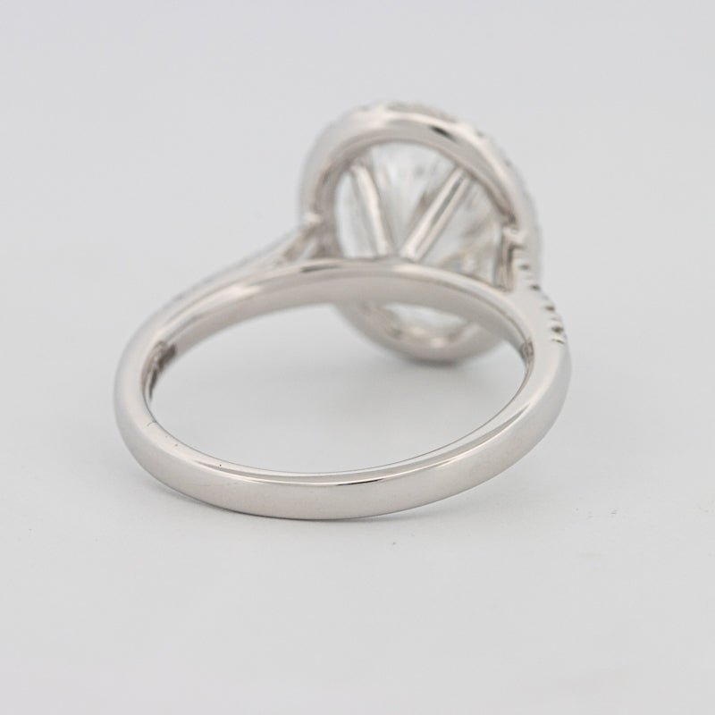 3 CT Oval Cut Halo Pavé Solitaire (LG) - ZIZOV DIAMONDS