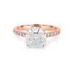 3 CT Round Solitaire Pavé (LG) - ZIZOV DIAMONDS