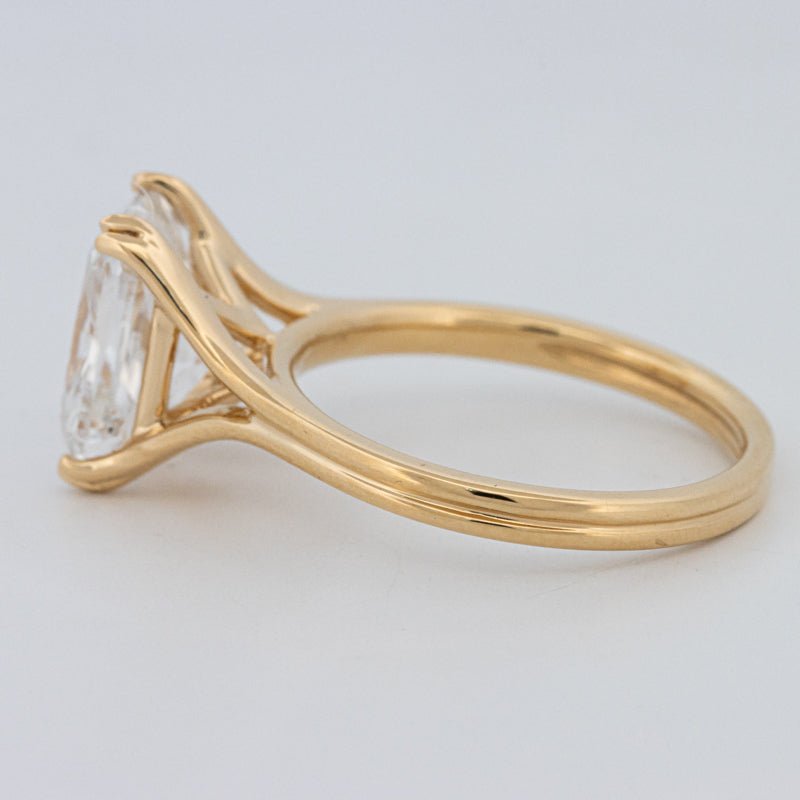 3.50 CT "DoubleClaw" Cushion Cut Solitaire Ring (LG) - ZIZOV DIAMONDS