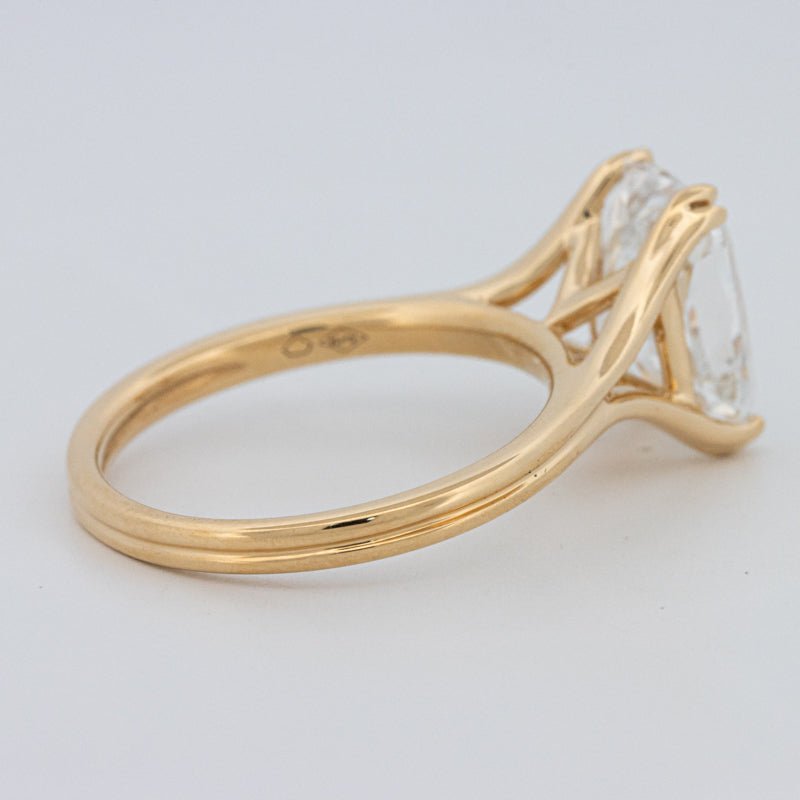 3.50 CT "DoubleClaw" Cushion Cut Solitaire Ring (LG) - ZIZOV DIAMONDS