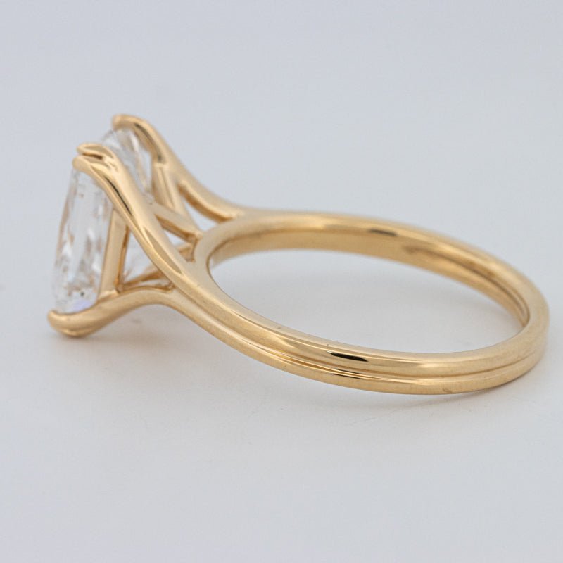 3.50 CT "DoubleClaw" Cushion Cut Solitaire Ring (LG) - ZIZOV DIAMONDS