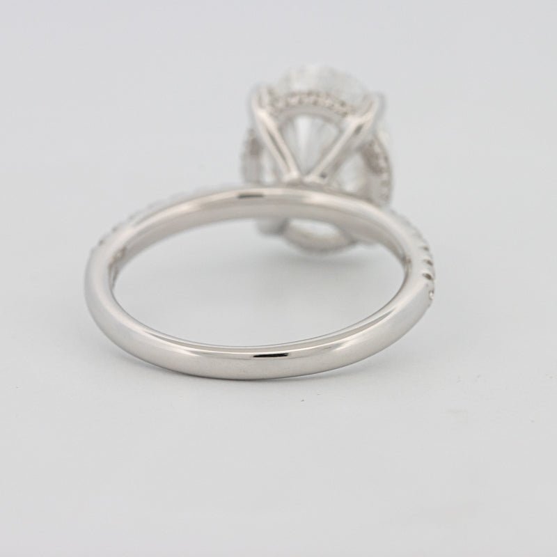 4 CT Oval Cut Under - Halo Pavé Solitaire (LG) - ZIZOV DIAMONDS