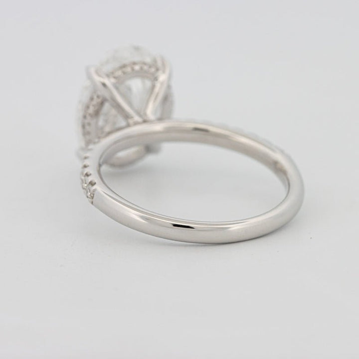 4 CT Oval Cut Under - Halo Pavé Solitaire (LG) - ZIZOV DIAMONDS