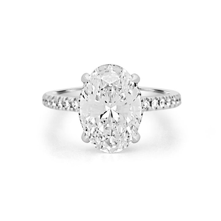 4 CT Oval Cut Under - Halo Pavé Solitaire (LG) - ZIZOV DIAMONDS