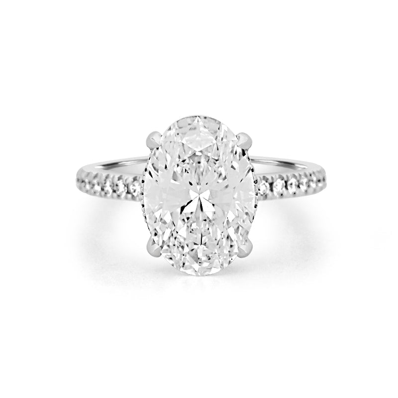 4 CT Oval Cut Under - Halo Pavé Solitaire (LG) - ZIZOV DIAMONDS