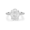 4 CT Oval Cut Under - Halo Pavé Solitaire (LG) - ZIZOV DIAMONDS