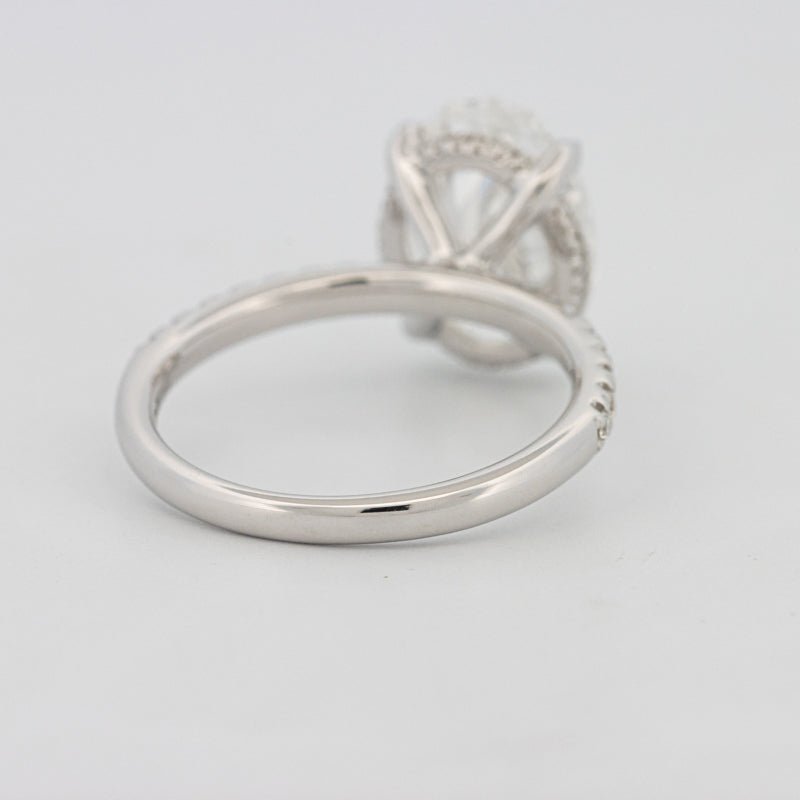 4 CT Oval Cut Under - Halo Pavé Solitaire (LG) - ZIZOV DIAMONDS