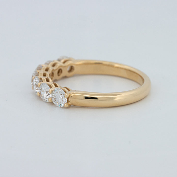 "Sparky" Eternity Ring (LG)