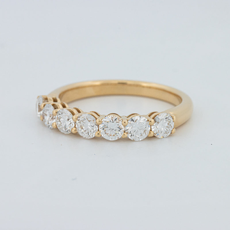 "Sparky" Eternity Ring (LG)