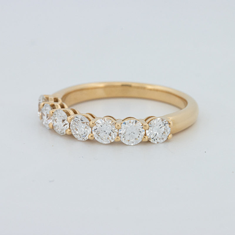 "Sparky" Eternity Ring (LG)