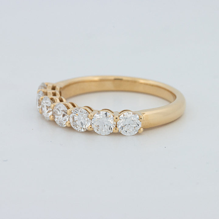 "Sparky" Eternity Ring (LG)