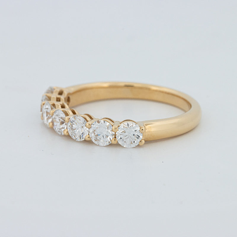 "Sparky" Eternity Ring (LG)