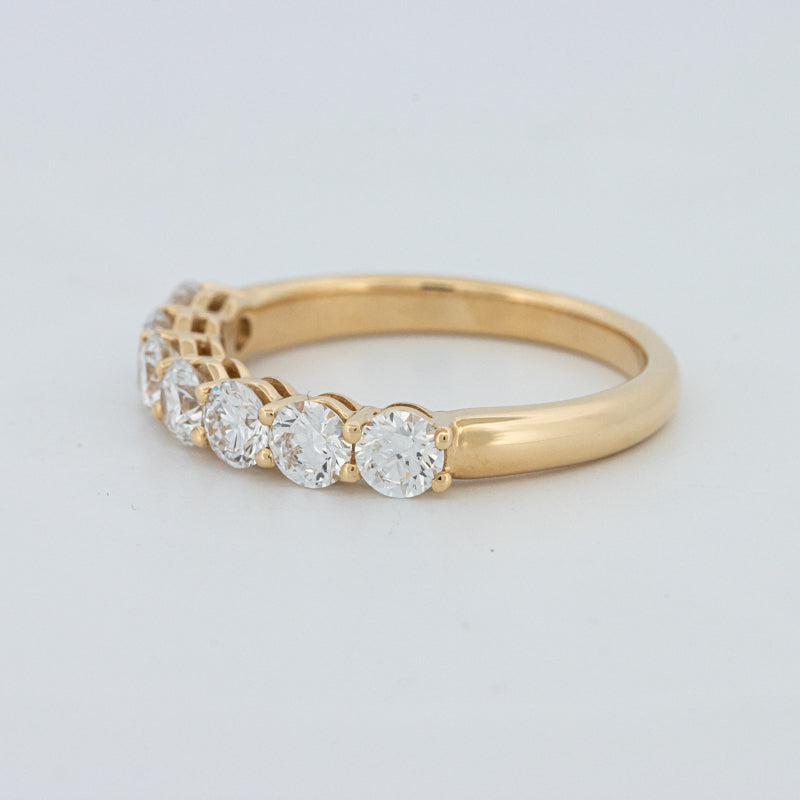 "Sparky" Eternity Ring (LG)