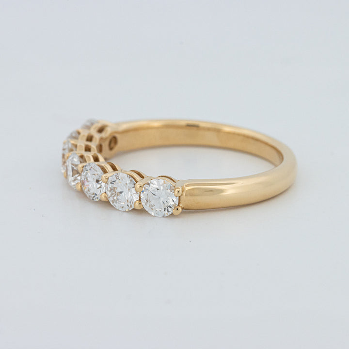 "Sparky" Eternity Ring (LG)