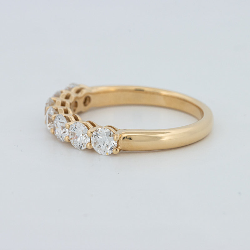 "Sparky" Eternity Ring (LG)