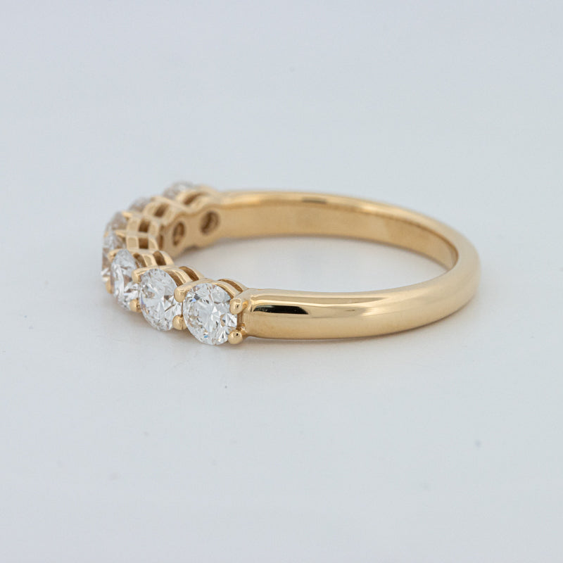 "Sparky" Eternity Ring (LG)