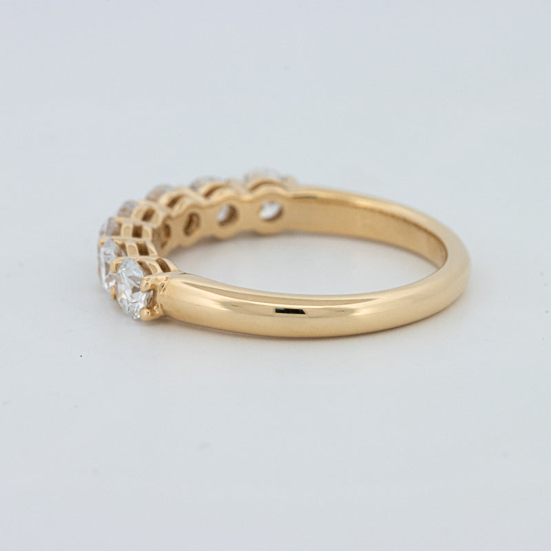 "Sparky" Eternity Ring (LG)