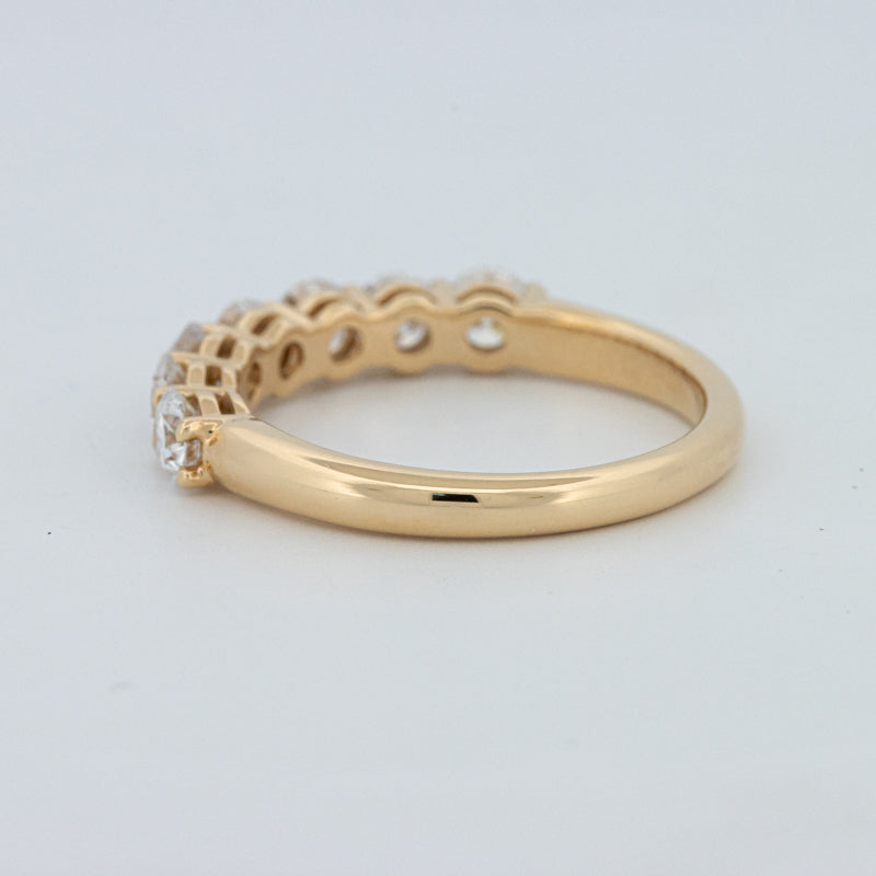 "Sparky" Eternity Ring (LG)