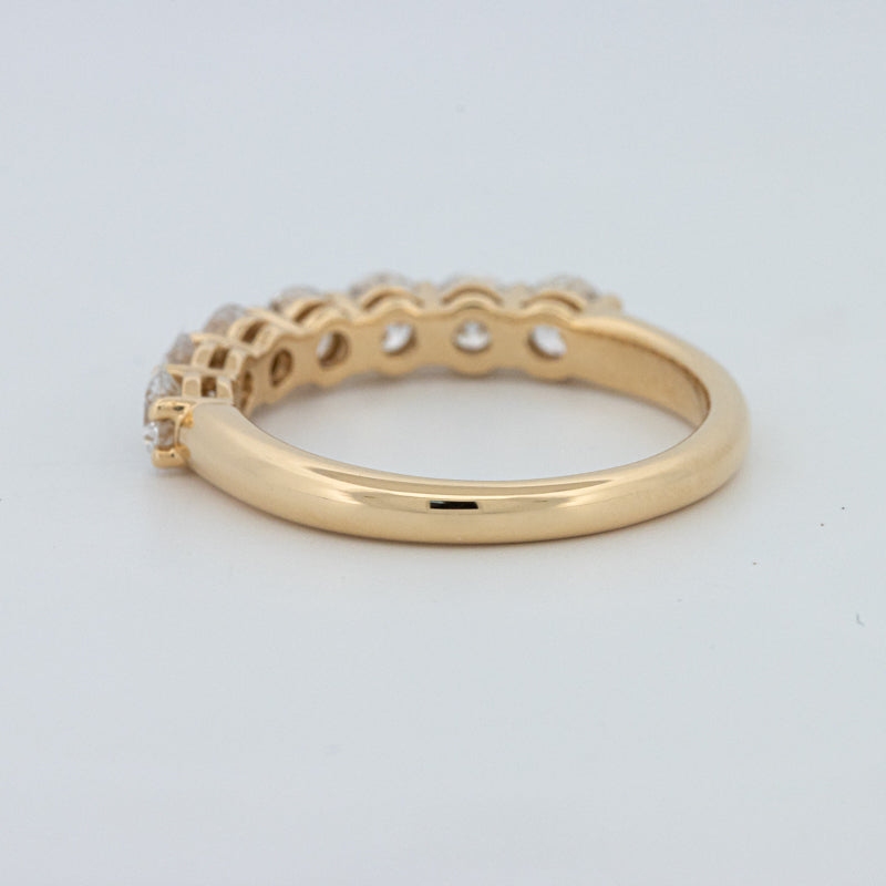 "Sparky" Eternity Ring (LG)