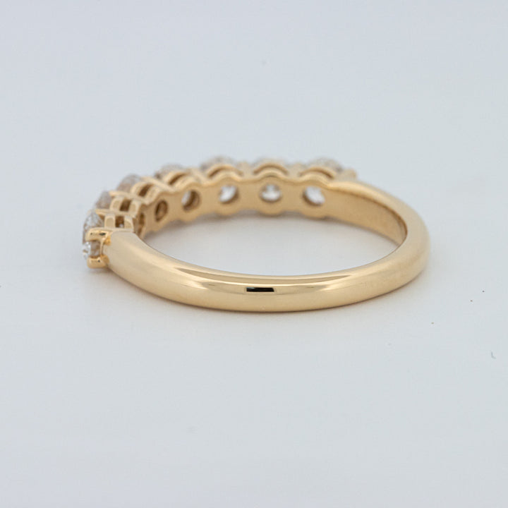 "Sparky" Eternity Ring (LG)