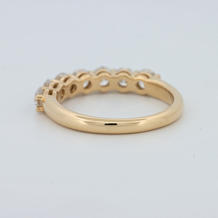 "Sparky" Eternity Ring (LG)