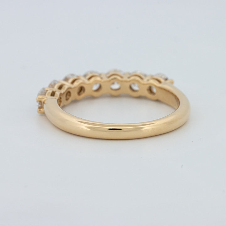 "Sparky" Eternity Ring (LG)