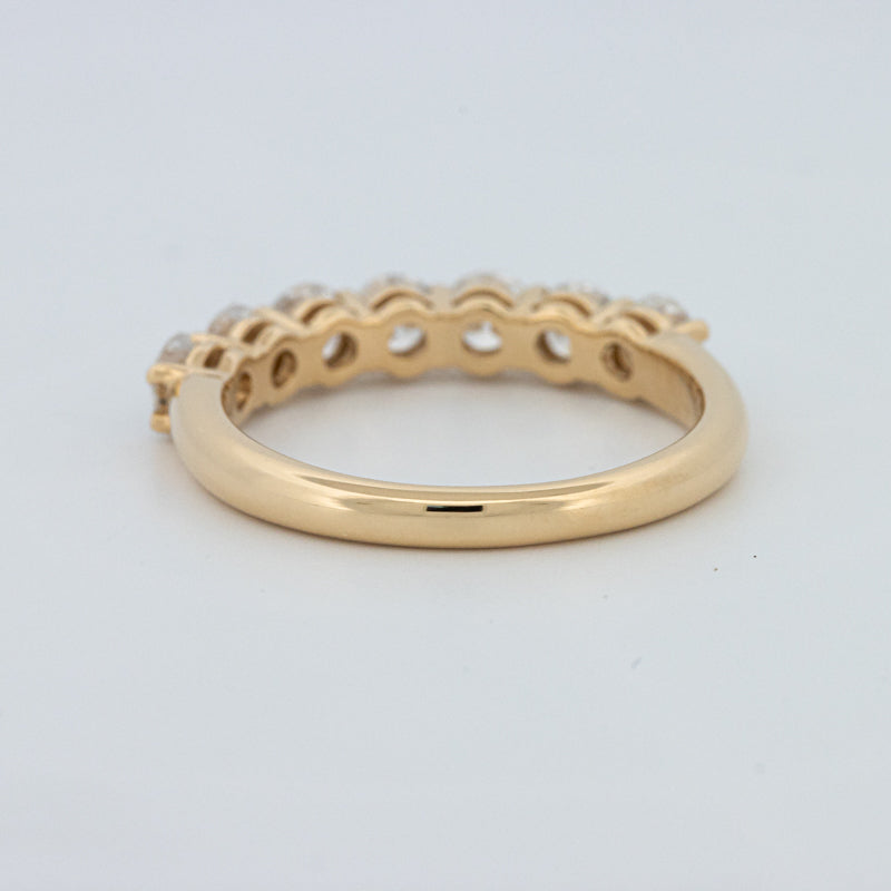 "Sparky" Eternity Ring (LG)