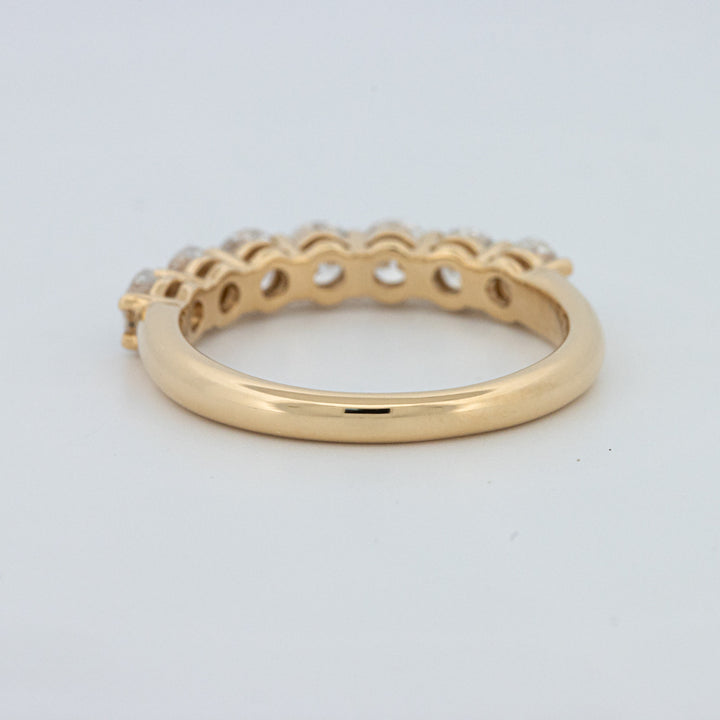 "Sparky" Eternity Ring (LG)