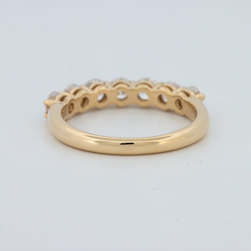 "Sparky" Eternity Ring (LG)