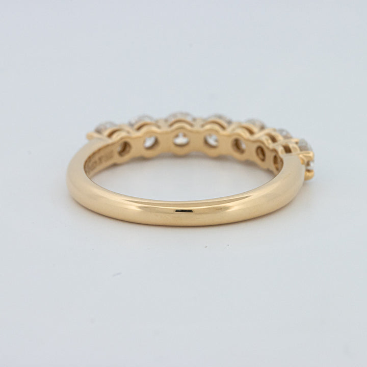 "Sparky" Eternity Ring (LG)