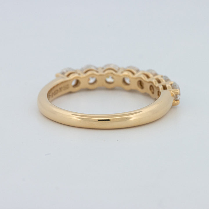 "Sparky" Eternity Ring (LG)