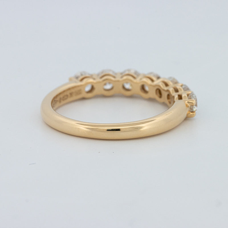 "Sparky" Eternity Ring (LG)