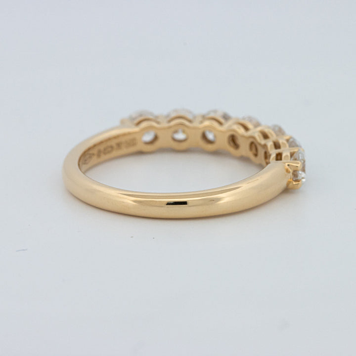 "Sparky" Eternity Ring (LG)