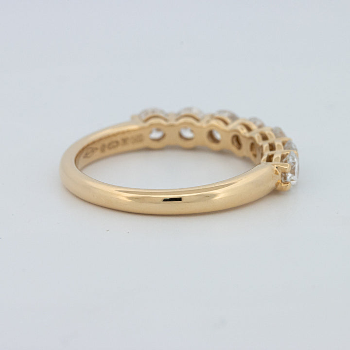 "Sparky" Eternity Ring (LG)