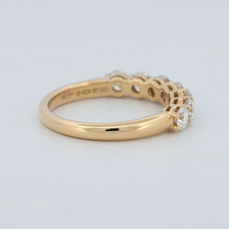 "Sparky" Eternity Ring (LG)