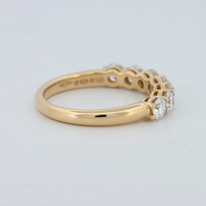 "Sparky" Eternity Ring (LG)