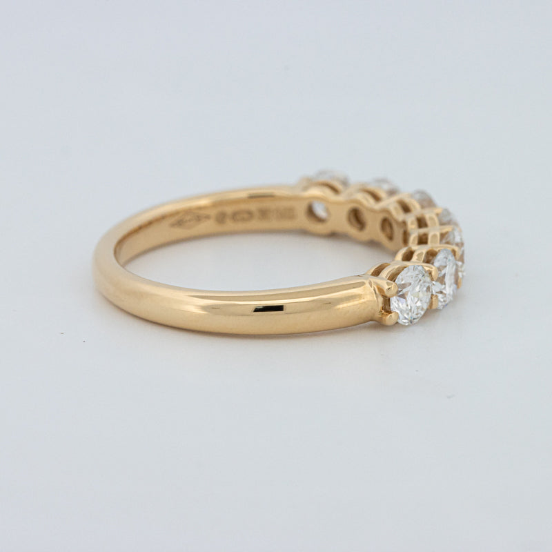 "Sparky" Eternity Ring (LG)